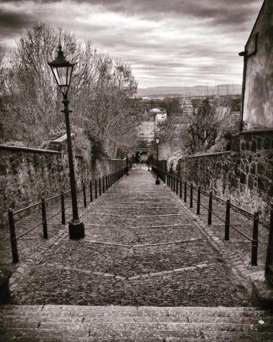 49898761_10216811818795128_6867774923893374976_n